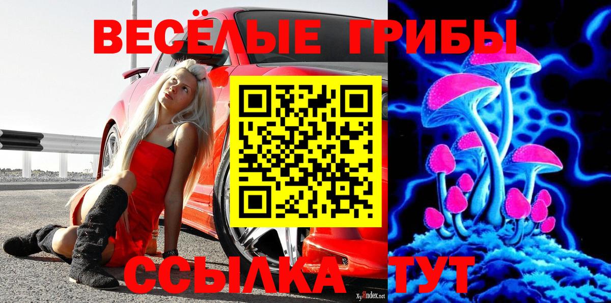 Галлюциногенные грибы прущие грибы  Псилоцибиновые грибы ЛСД  Калининград  как найти наркотики  Вход с VPN 